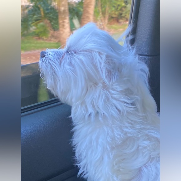 Smell those sweet bundle deals!! - Picture 1 of 2